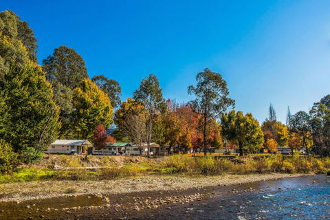 Porepunkah Bridge Holiday Park - C Tourism 0
