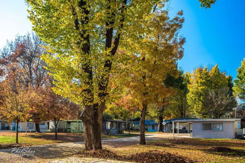 Porepunkah Bridge Holiday Park - C Tourism 8