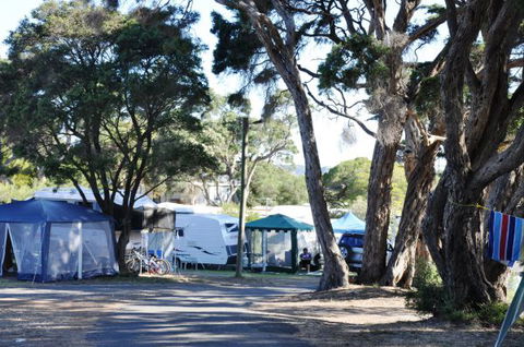 Queenscliff Tourist Park - C Tourism 2