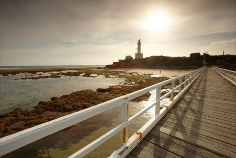 Queenscliff Tourist Park - C Tourism 7