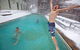 Ropers Alpine Apartments - thumb 3