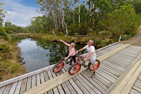 Saintys Creek Cottage - C Tourism 6