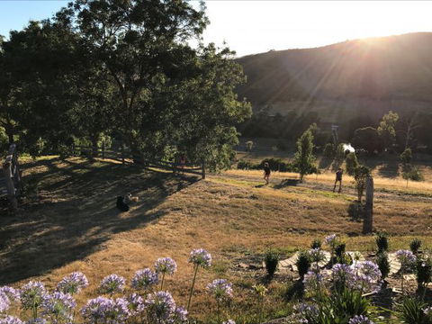 Shearer's Hill - Luxury Farm Stay - C Tourism 9
