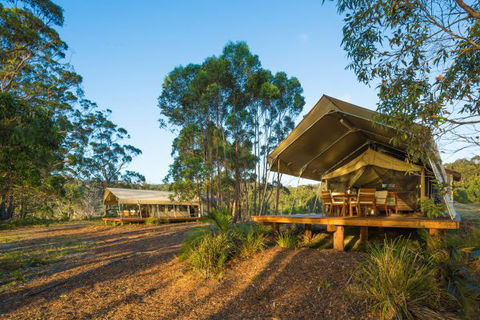 Tanja Lagoon Camp - C Tourism 0