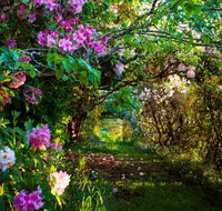 The Pear Walk - C Tourism
