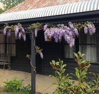 The Gold House - C Tourism