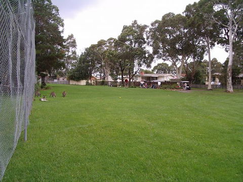 Waratah Cottage - C Tourism 8