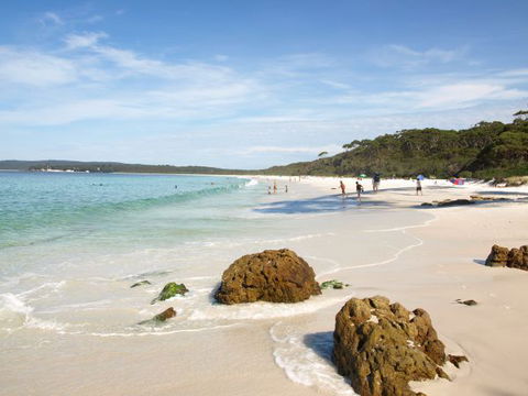 Waratah Cottage - C Tourism 9