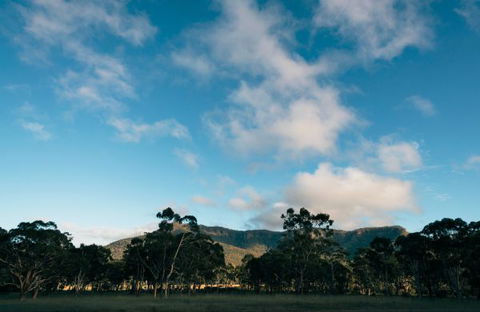 Werriberri - C Tourism 2