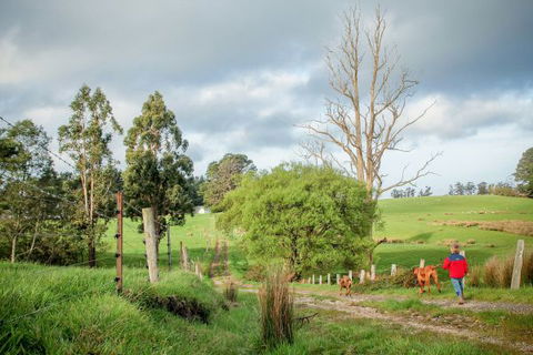 Wines For Joanie Cottage - C Tourism 6