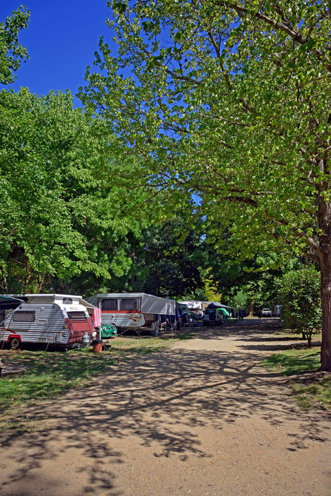 Ardern's Caravan Park Myrtleford - C Tourism 1
