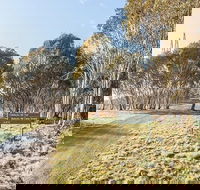 Bullocks Hill campground - C Tourism