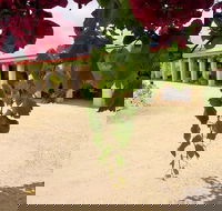 Corinium Roman Villa - C Tourism