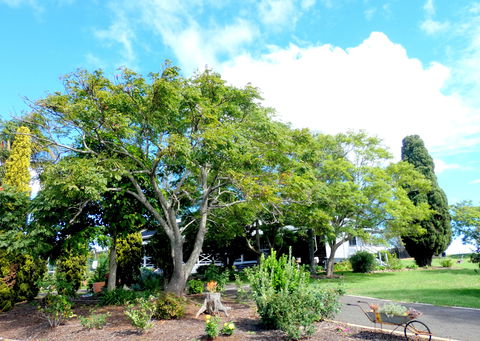 Forest Lodge Highfields - C Tourism 3