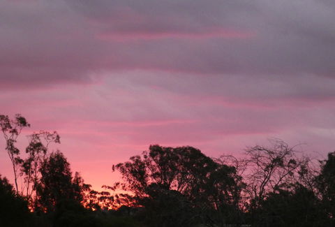 Forest Lodge Highfields - C Tourism 4