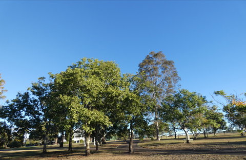 Forest Lodge Highfields - C Tourism 6