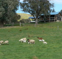 Gaddleen Grove Cottages - C Tourism