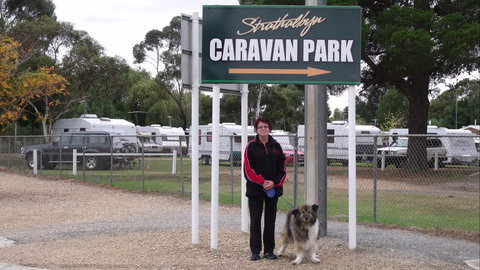 Strathalbyn Caravan Park - C Tourism 0
