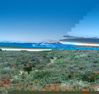 Lucky Bay Campground at Cape Le Grand National Park - C Tourism