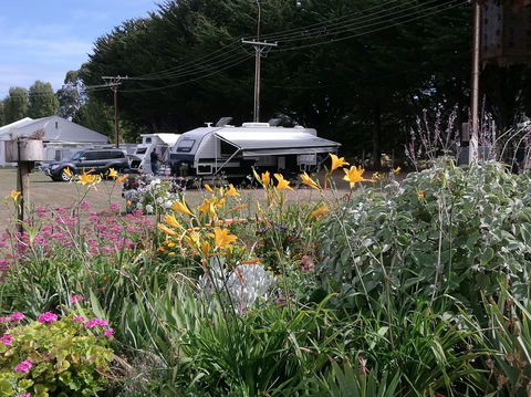 Millicent Showground RV Park - C Tourism 0