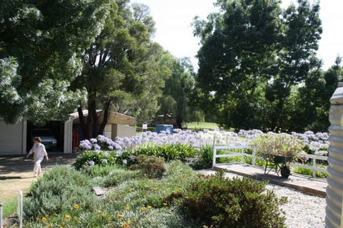 Molesworth Recreation Reserve And Caravan Park - C Tourism 2