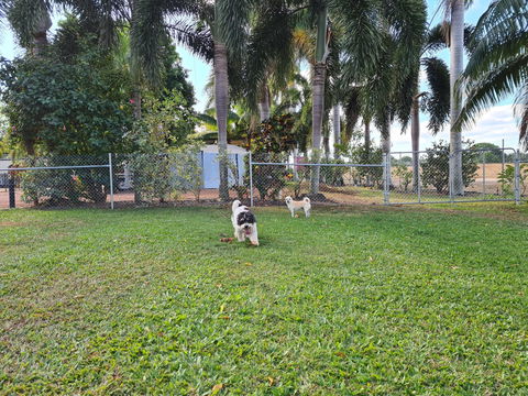 Noonamah Tourist Park - C Tourism 3