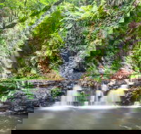O'Reilly's Rainforest Retreat - C Tourism