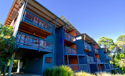 O'Reilly's Rainforest Retreat - C Tourism 7