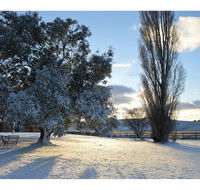 Snowy Mountains Resort - C Tourism