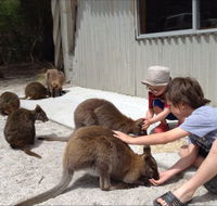 The Patriarch Wildlife Sanctuary Camping Ground - C Tourism