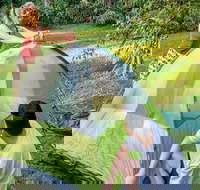 Warrabah campground and picnic area - C Tourism