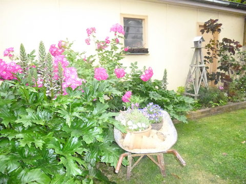 Aggies Bed And Breakfast - C Tourism 2