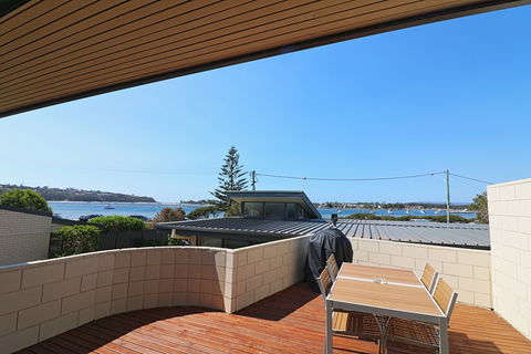 All Decked Out At Penguin Mews - C Tourism 2