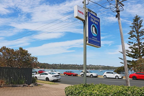 All Decked Out At Penguin Mews - C Tourism 8