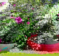 Armidale Pines Motel - C Tourism