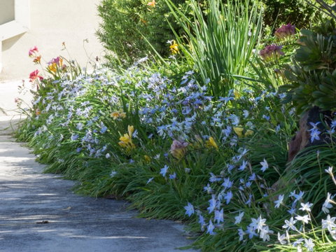 Austin Rise B&B - C Tourism 2