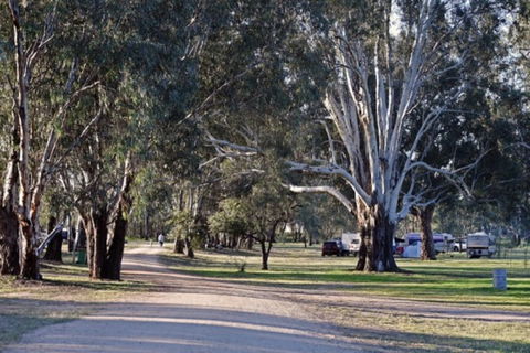 Broken Creek Bush Camp - C Tourism 1