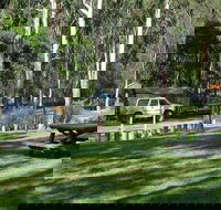 Chaelundi campground - C Tourism
