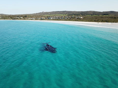 Cheynes Beach Caravan Park - C Tourism 3