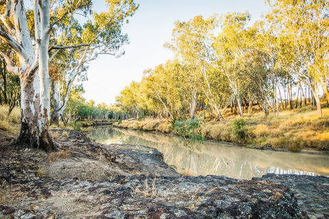 Condamine River Caravan Park - C Tourism 1