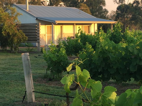 Emma's Cottage Vineyard - C Tourism 2