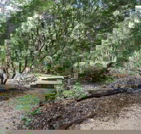 Eungella National Park camping - C Tourism