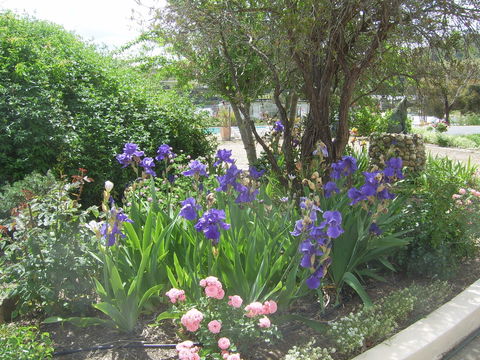 Garden Motor Inn (Golden Chain) - C Tourism 7