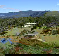 Golden Wattle - Kiaroo - C Tourism