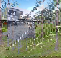 Gold Coast Tree Houses - C Tourism