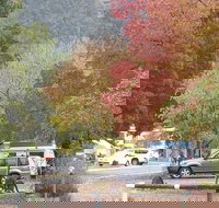 Halls Gap Caravan Park - C Tourism