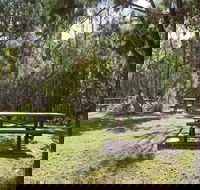 Illaroo group camping area - C Tourism