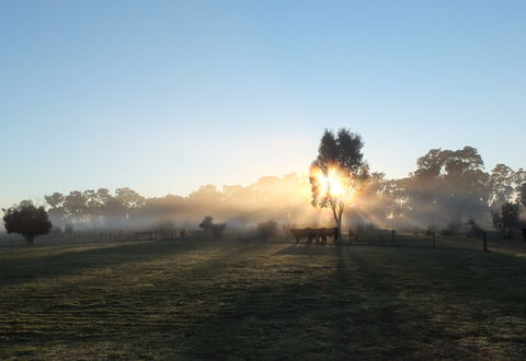 Mackereth's Hedon Farm - C Tourism 1