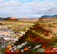 Miliyanha Camp at Millstream Chichester National Park - C Tourism