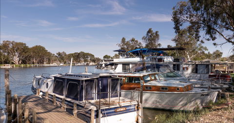 Murray Bridge Marina Camping And Caravan Park - C Tourism 0
